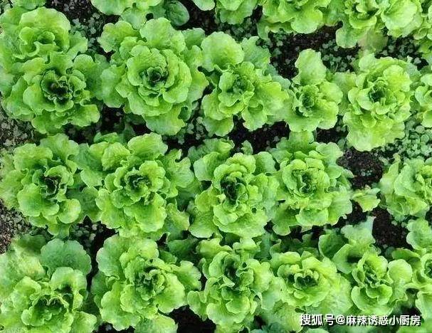 女子看到后破口怒骂根本停不下来龙8头号玩家男子高铁上吃泡面一(图1)