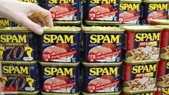 的午餐肉和巧克力战后照样是大品牌龙8囯际二战中让美国大兵深恶痛绝(图2)